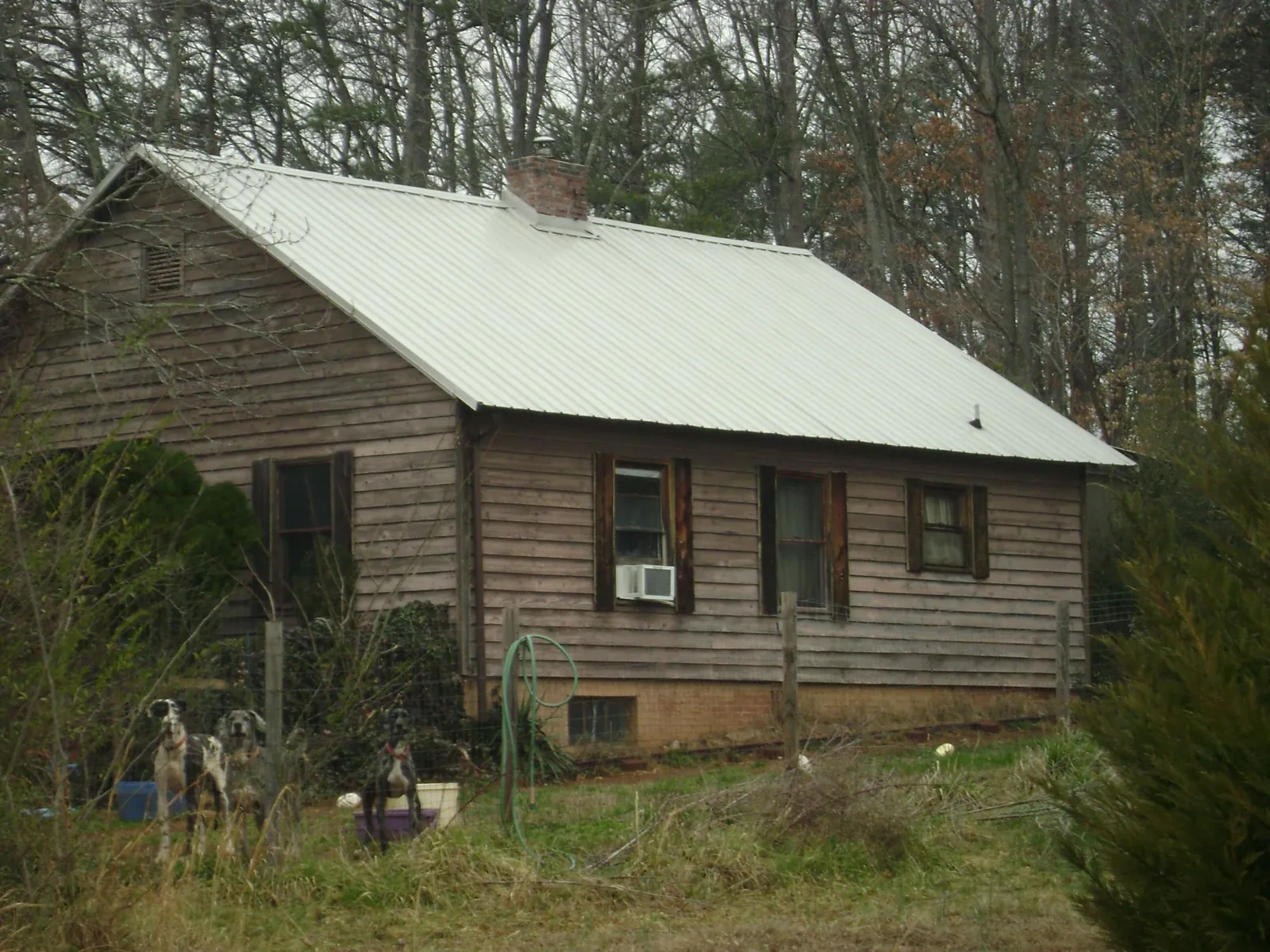 White metal roof on an old wood sided farmhouse, from a Metal Roof Installation job in Douglas City